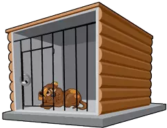 Эксклюзивный проект вольера для собак