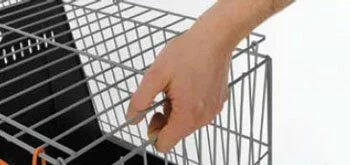 Клетка ATLAS VISION